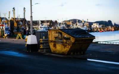 How Homeowners Can Upgrade Their Spaces with Small Dumpster Rental for Homeowners and Other Reliable Affordable Dumpster Rental Services