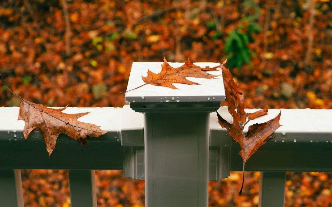 What Rochester Homeowners Should Do Before Fall to Protect Their Outdoor Spaces
