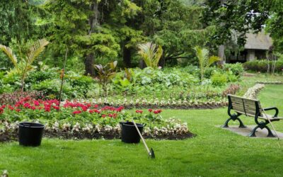 Garden Features That Increase Property Appeal Without Increasing Maintenance