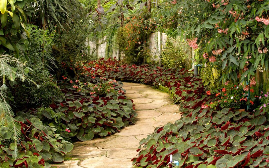 How Thoughtful Landscaping Can Transform Your Outdoor Space